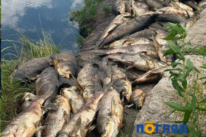 Погляд — новини Київщини онлайн - a27b0231-49f4-47fe-9a9b-40d8776611be - зображення